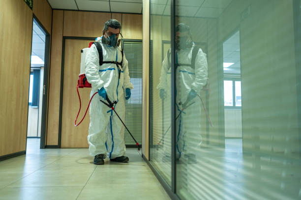 Best Fumigation Services  in Petersburg, MI